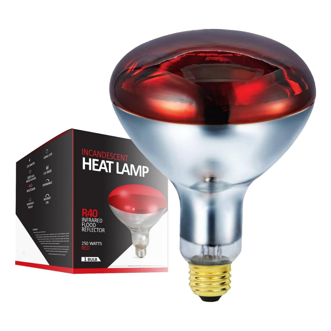 250W Infrared R40 Heat Lamp Bulb for Indoor
